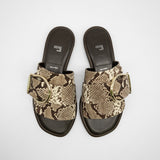 Daisy python - 40%OFF