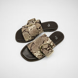 Daisy python - 40%OFF
