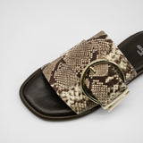 Daisy python - 40%OFF