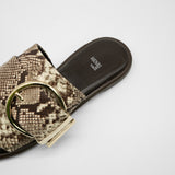Daisy python - 40%OFF