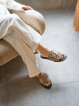 Daisy python - 40%OFF