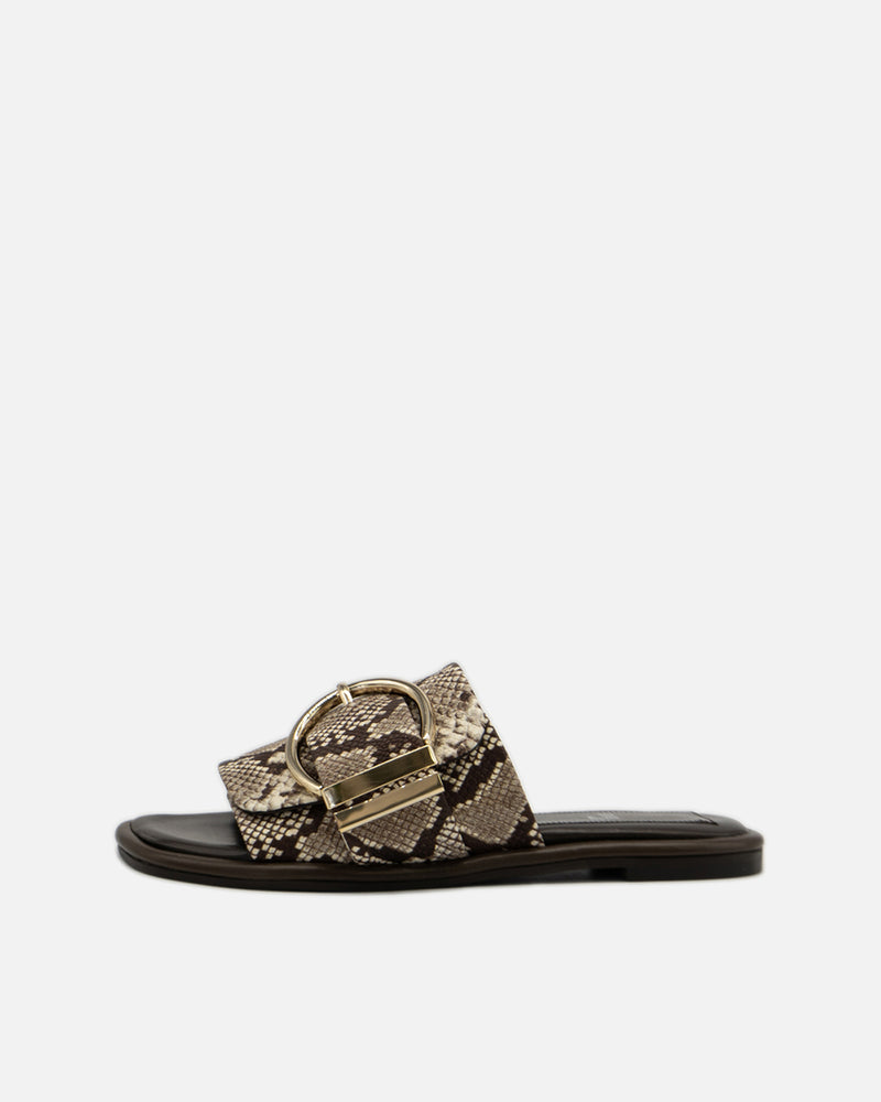 Daisy python - 40%OFF